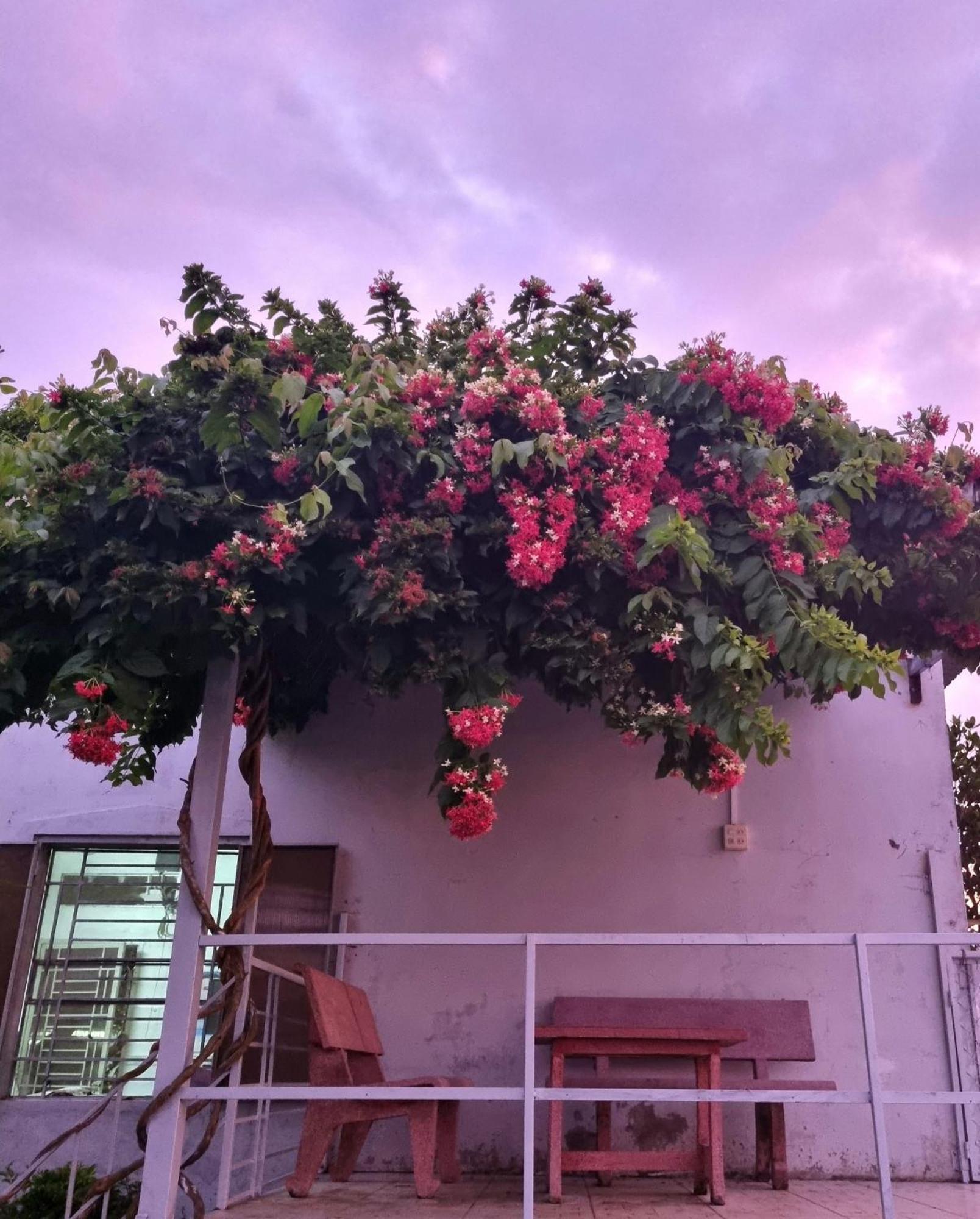 Tran Phu Riverside House Can Tho Buitenkant foto