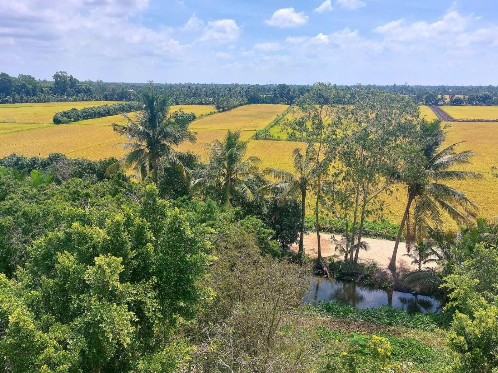 Tran Phu Riverside House Can Tho Buitenkant foto